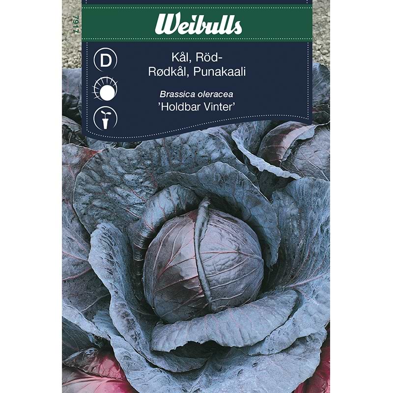 Portionsfrø kål