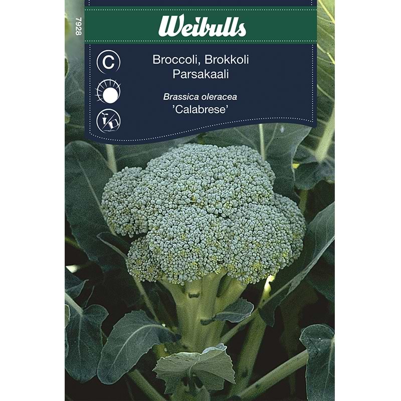 Kålfrø Broccoli