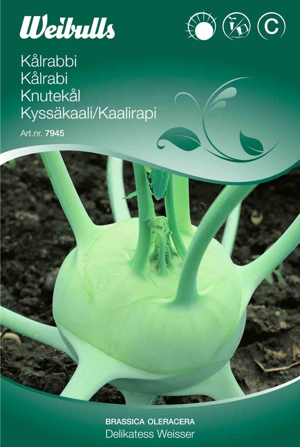 Kålfrø (Kålrabi 'Delikatess Weisser')