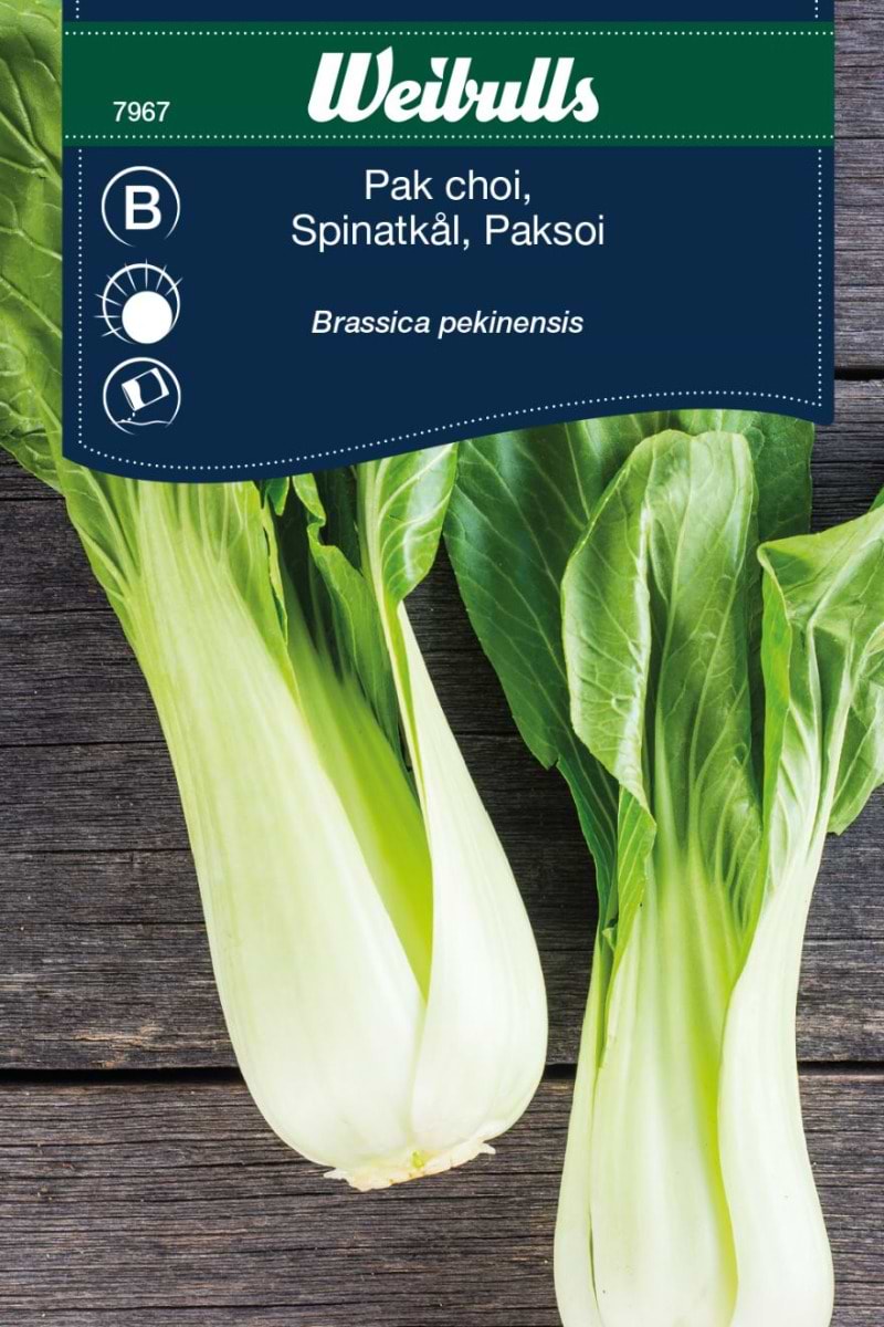 Pak Choi