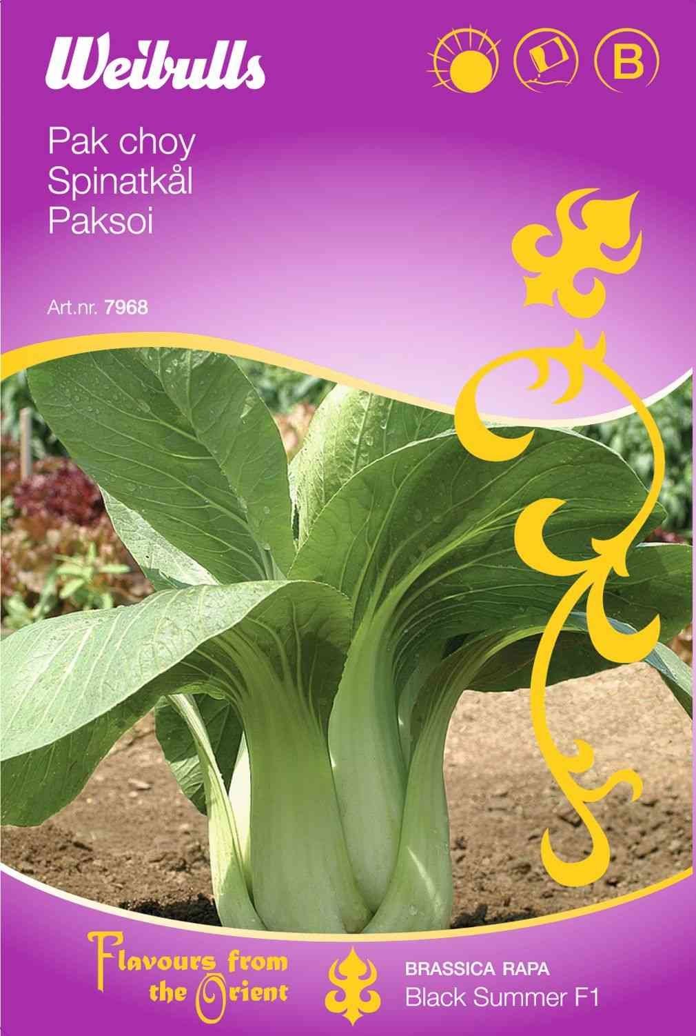 Kålfrø (Spinatkål 'Black Summer F1')