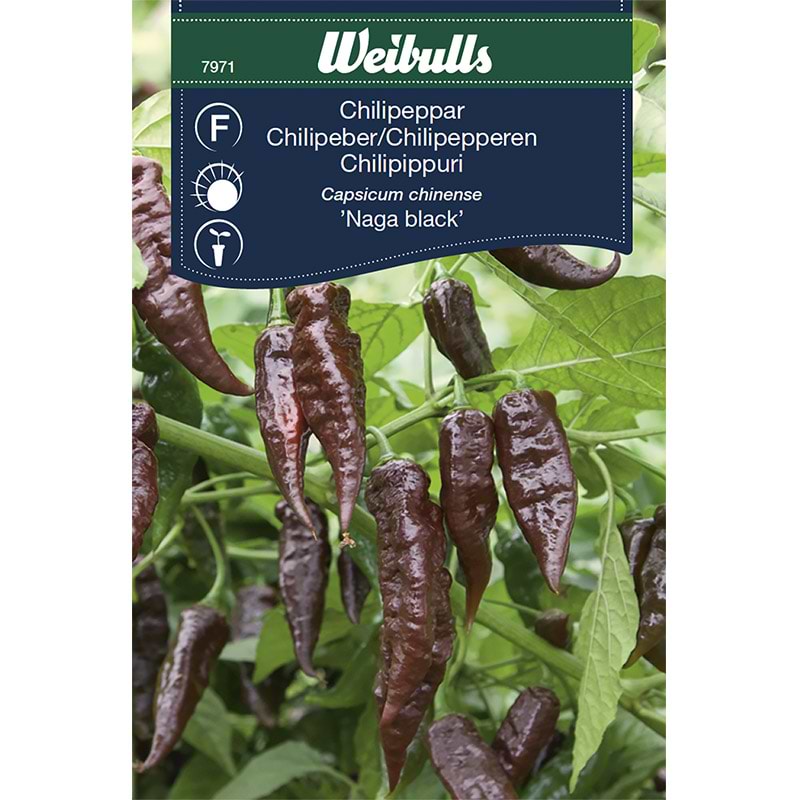 Chilipeber stærk