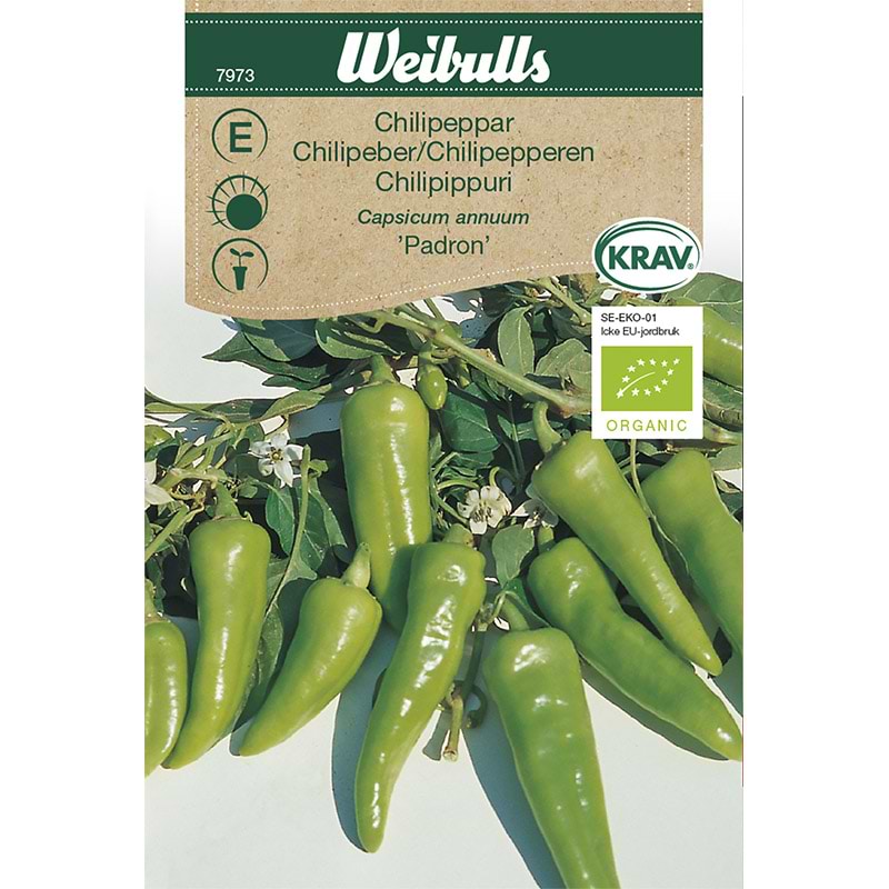 Chilipeber mild Økologisk