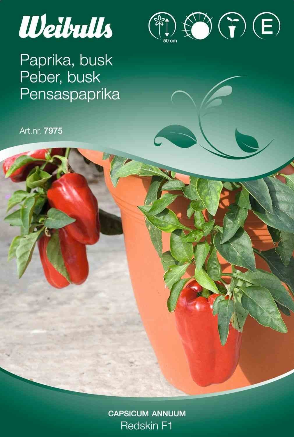 Peberfrø (Paprikabusk 'Redskin F1')