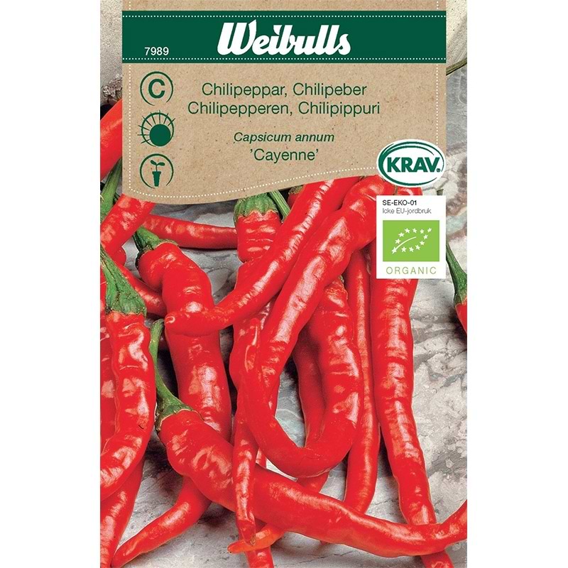 Chilifrø