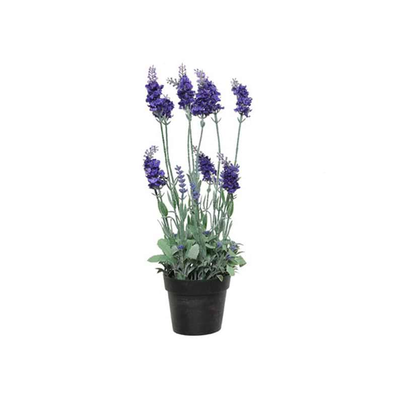 Lavendel plastik mørk lilla