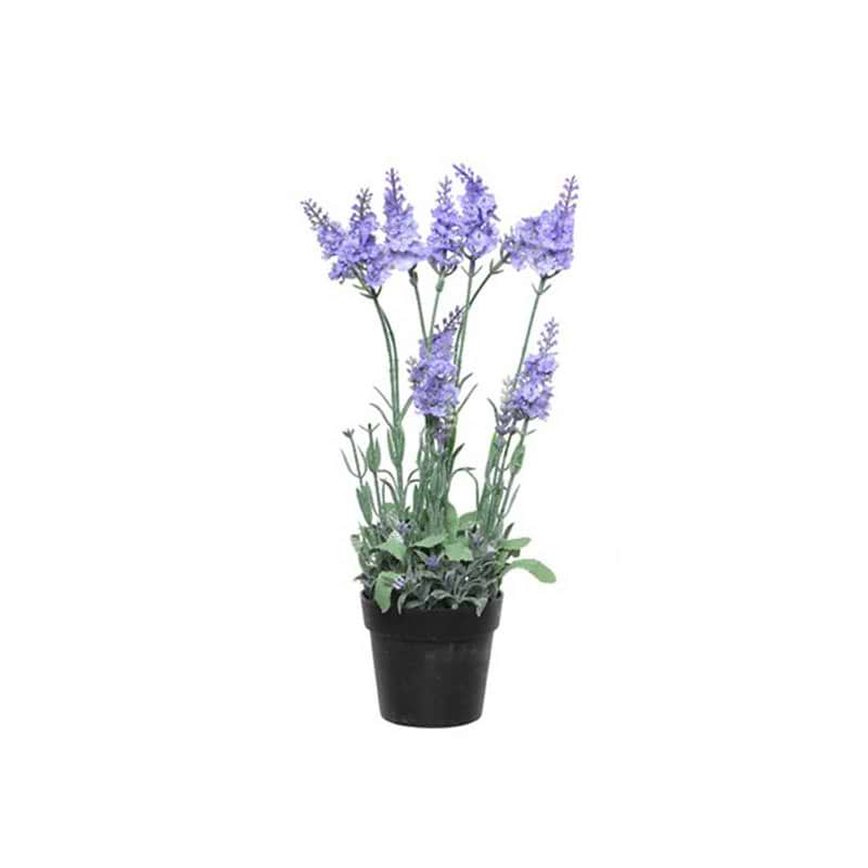 Lavendel plastik lys lilla