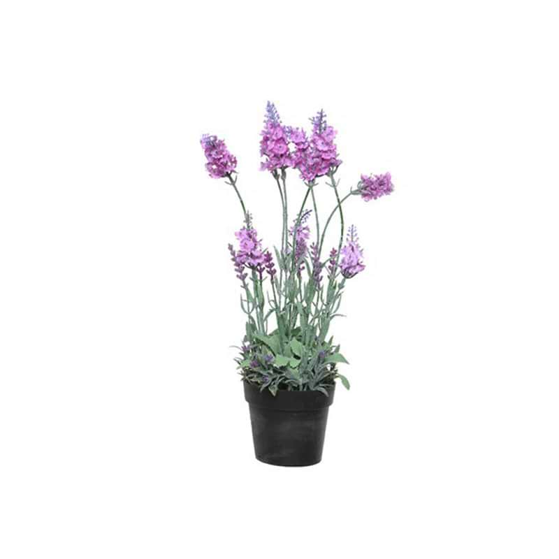 Lavendel plastik lyserød