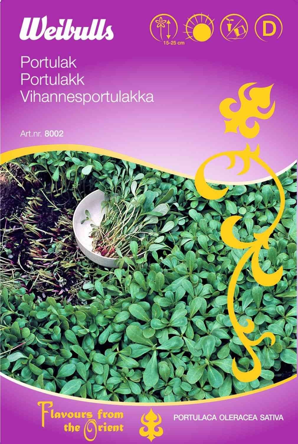 Salatfrø (Portulak)
