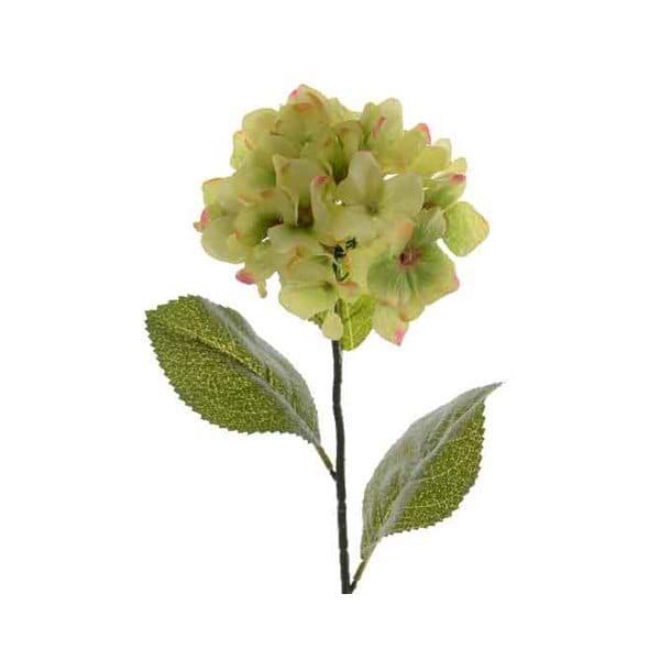 silke hortensia
