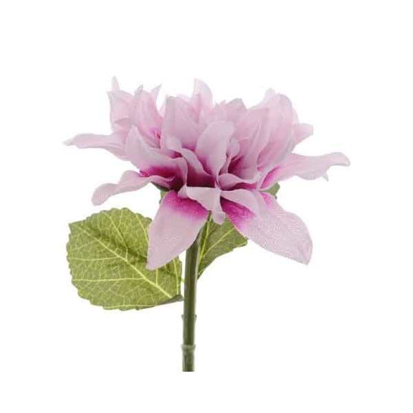 Silke dahlia