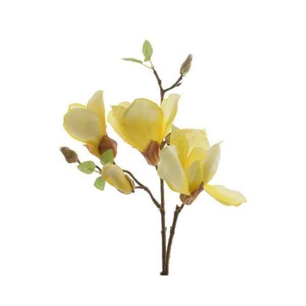 silke magnolia