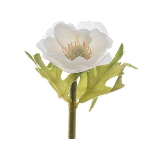 silkeanemone