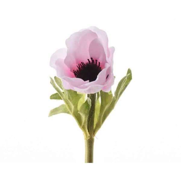 silkeanemone