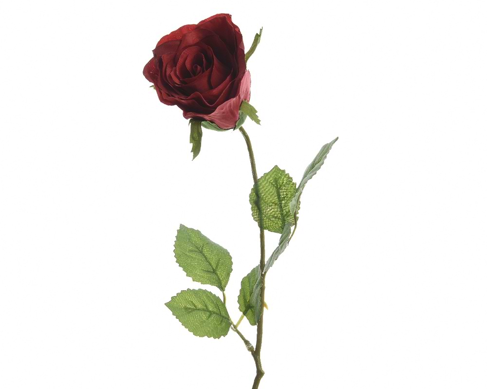 ROSE PÅ STILK