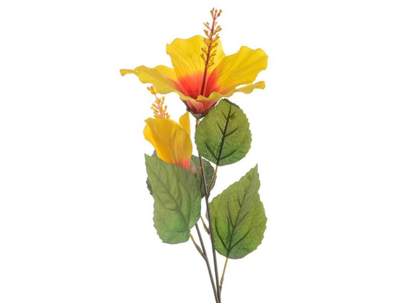 Gul syrisk rose