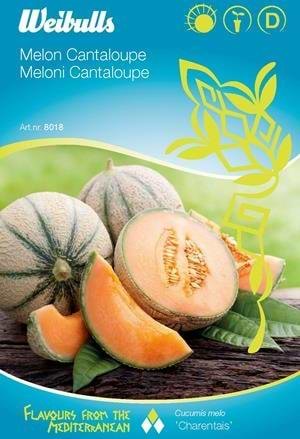 frø til plantning melon