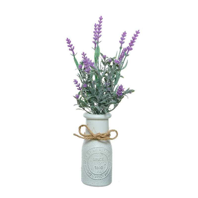 Lavendel i vase lilla