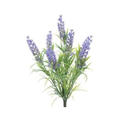 Lavendel Lilla