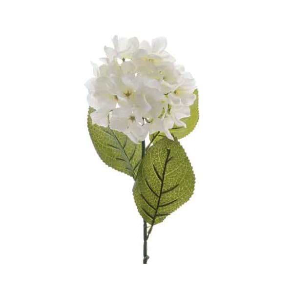 silkeblomst