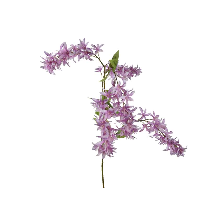 Wisteria på stilk