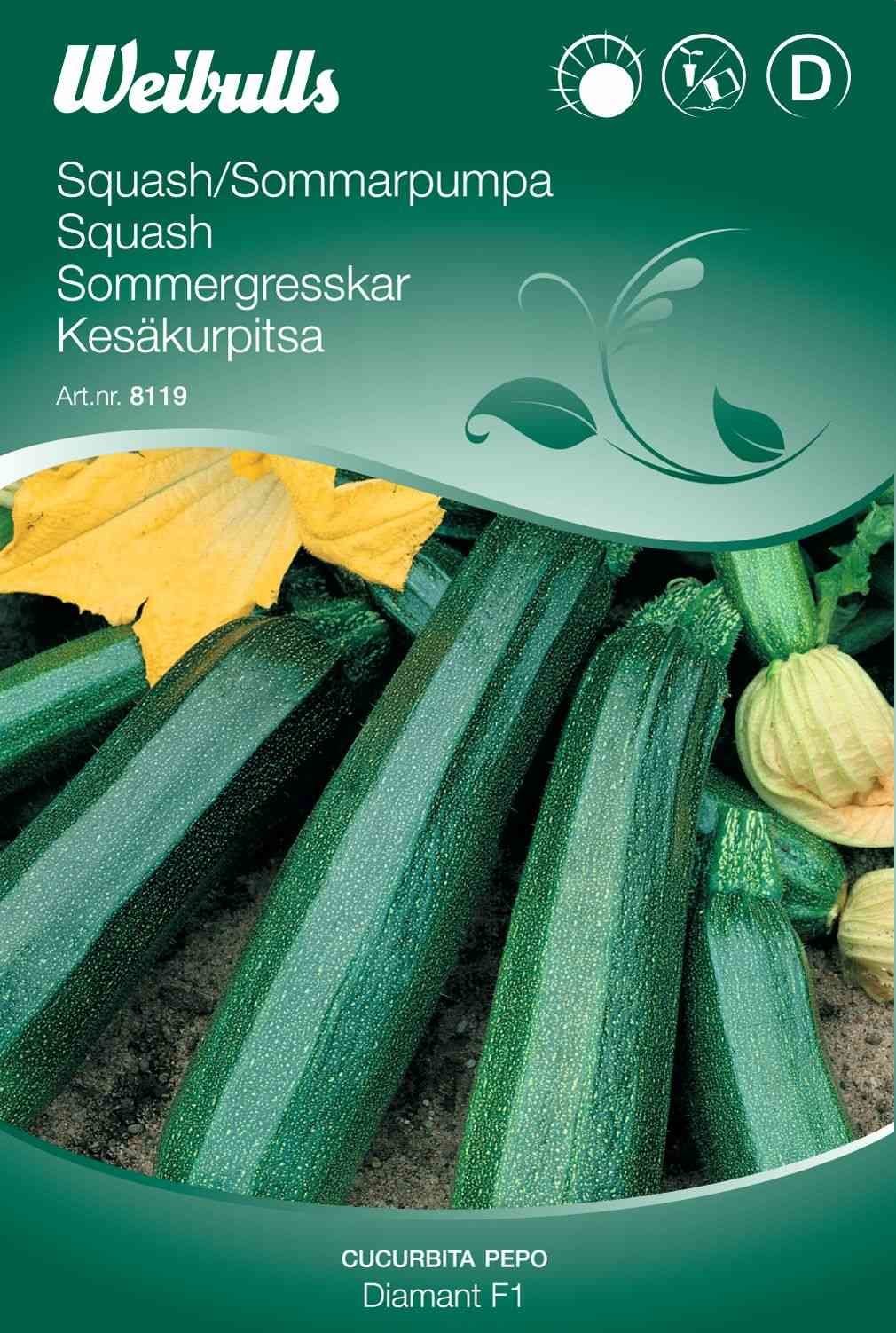 Squashfrø (Squash 'Diamant F1')