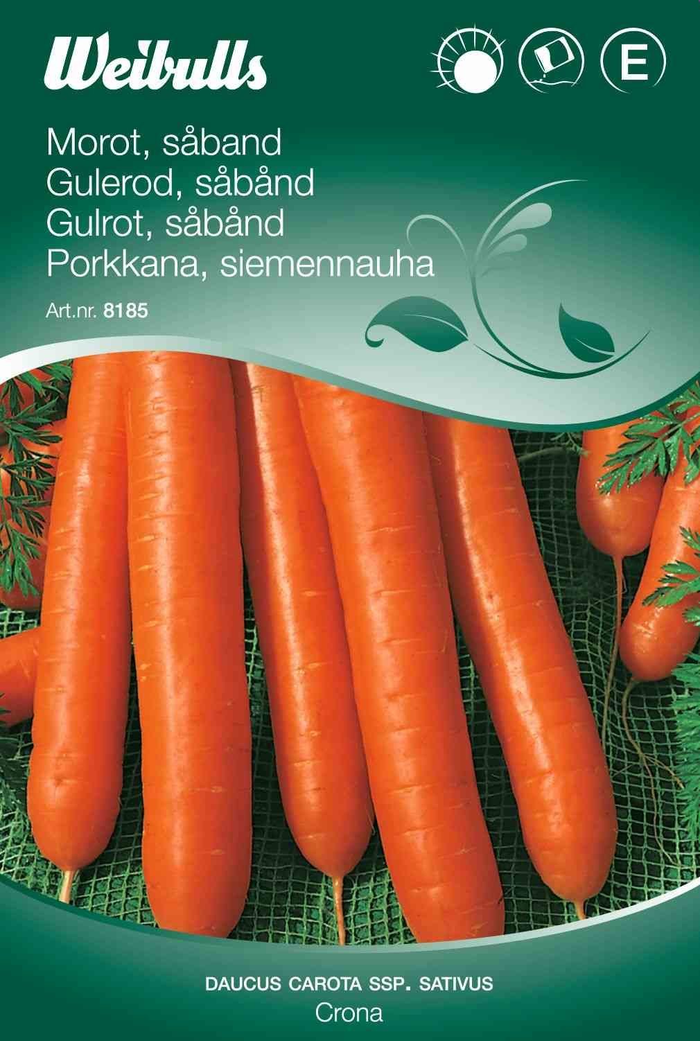 Gulerodsfrø (Gulerod 'Nantaise 2') Såbånd
