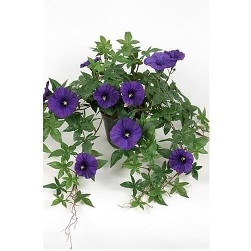 kunstig blomst med blå blomster