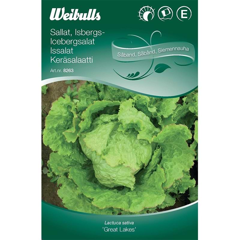 Salatfrø