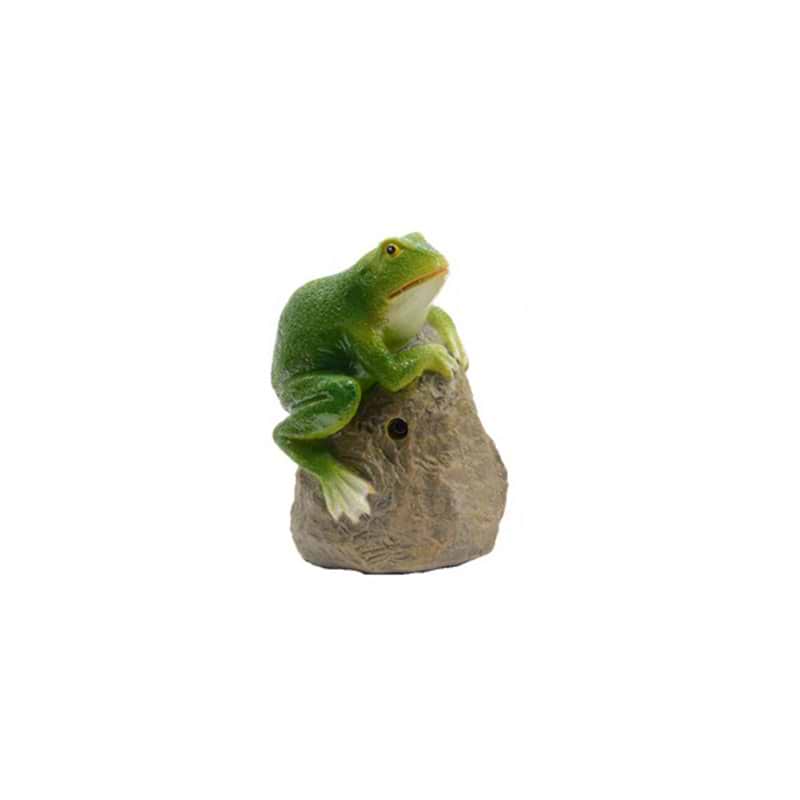 frø på sten