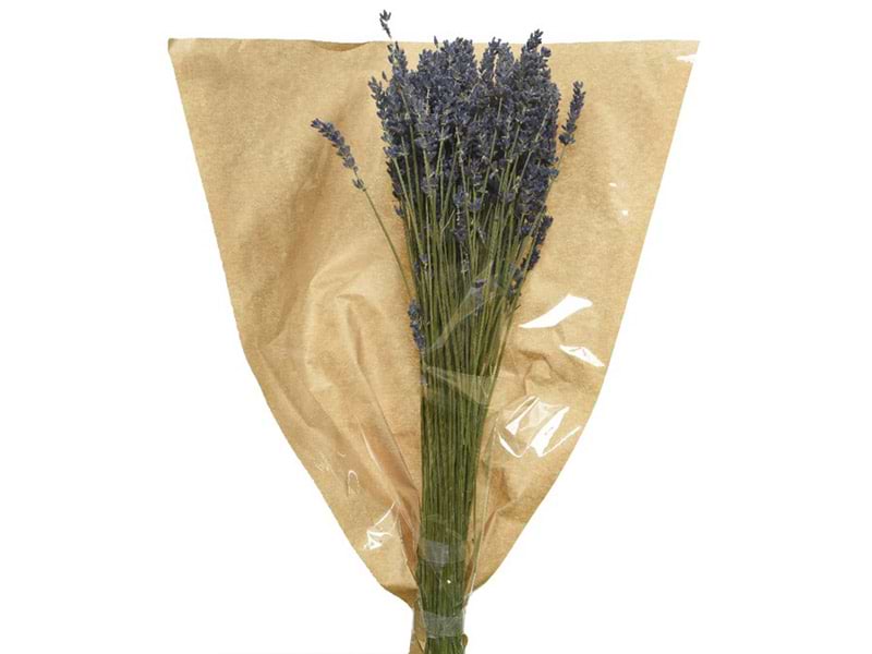 Lavendel tørret