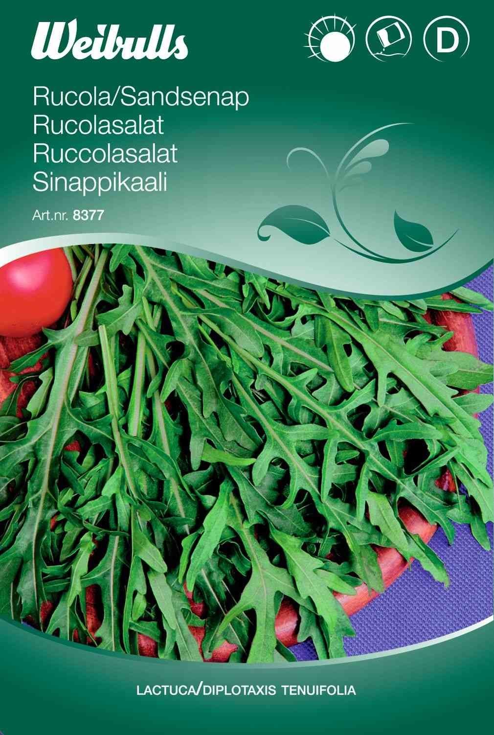 Salatfrø (Ruccolasalat Tenuifolia)
