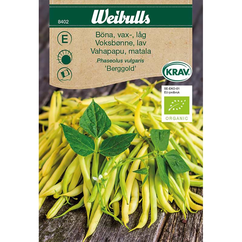 Økologisk Voksbønne frø (Phaseolus vulgaris 'Berggold')
