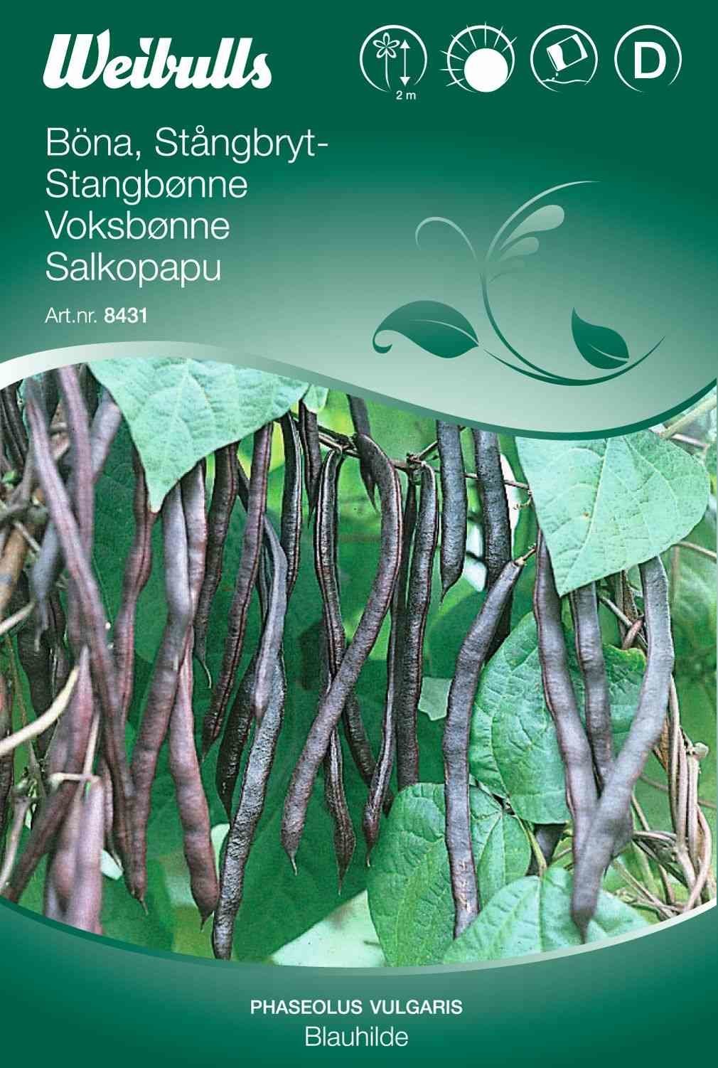 Bønnefrø (Voksbønne 'Blauhilde')