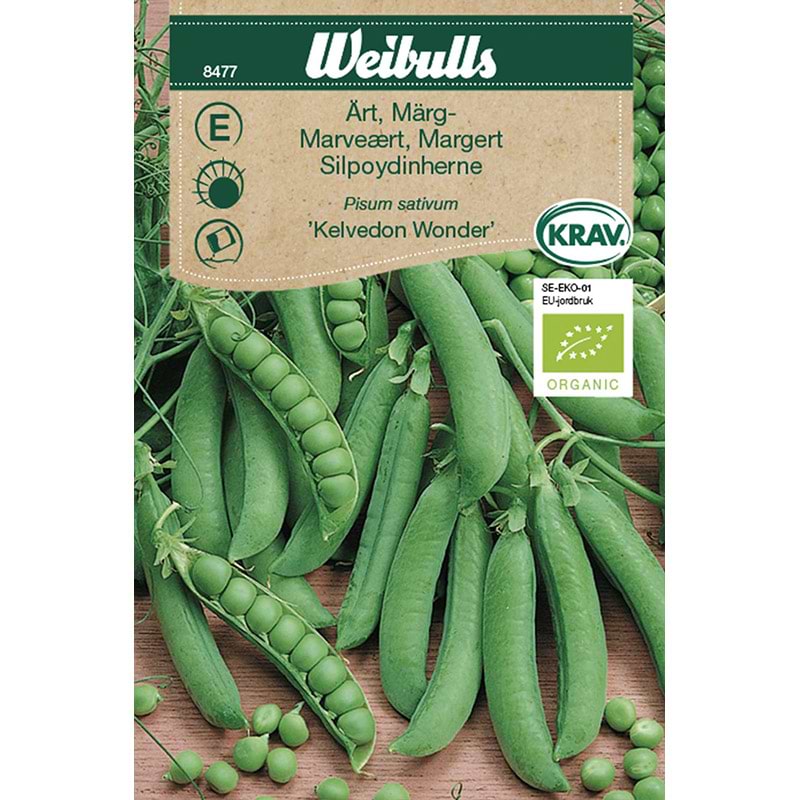 Økologisk Marveært frø (Pisum sativum 'Kelvedon wonder')