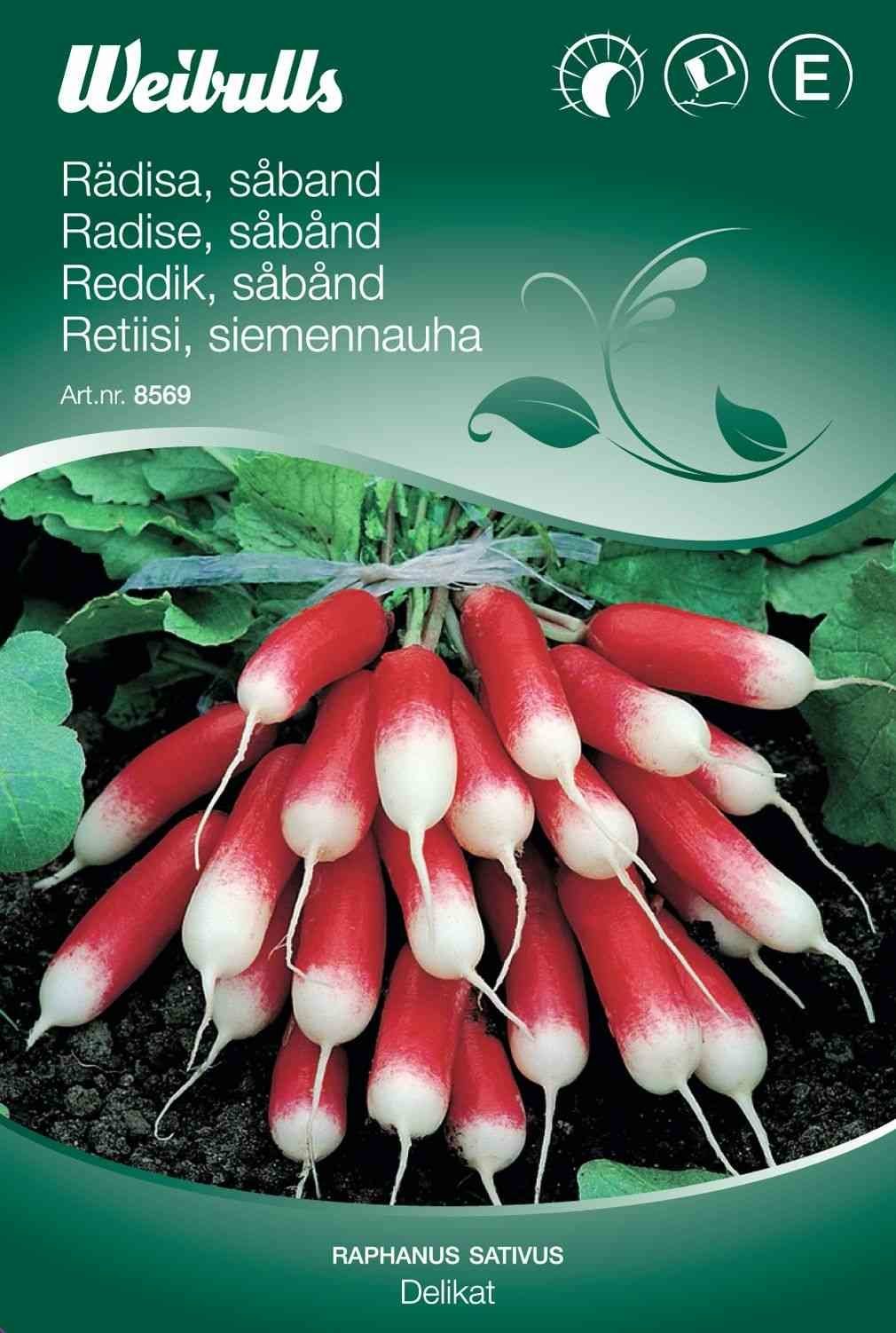 Radisefrø (Radise 'Pernot Clair') Såbånd