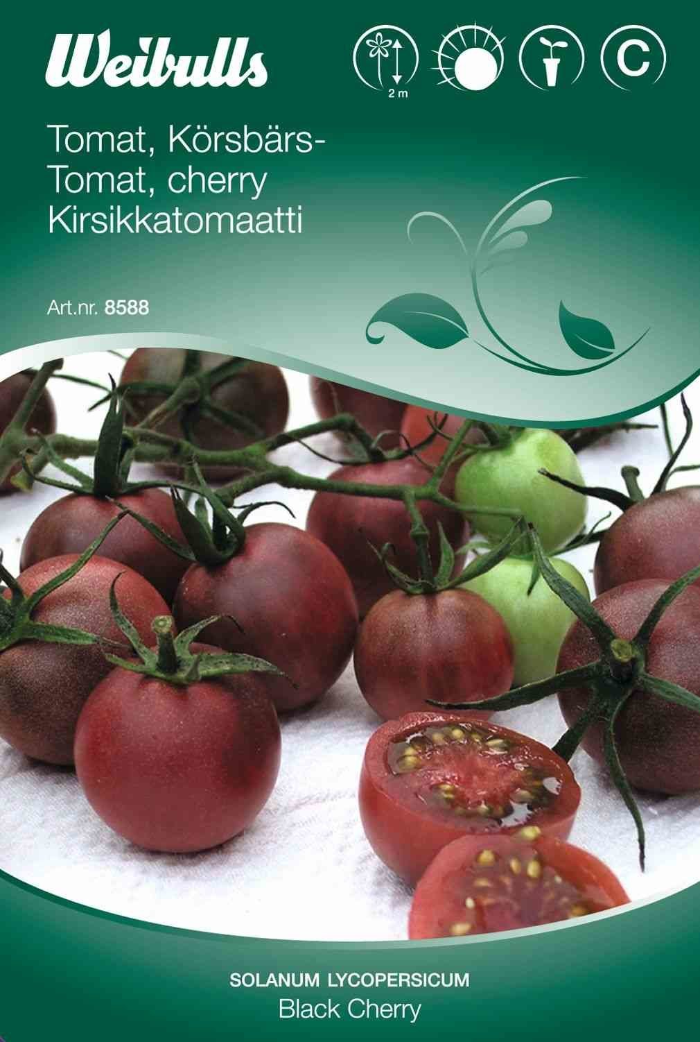 Tomatfrø (Cherrytomat 'Black Cherry')