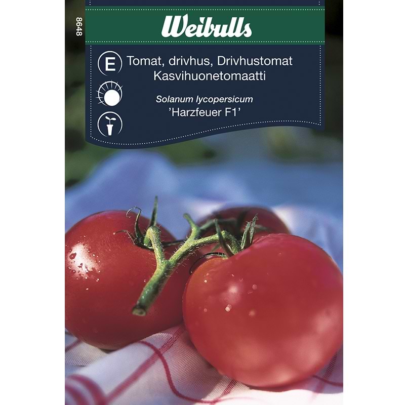 Tomatfrø