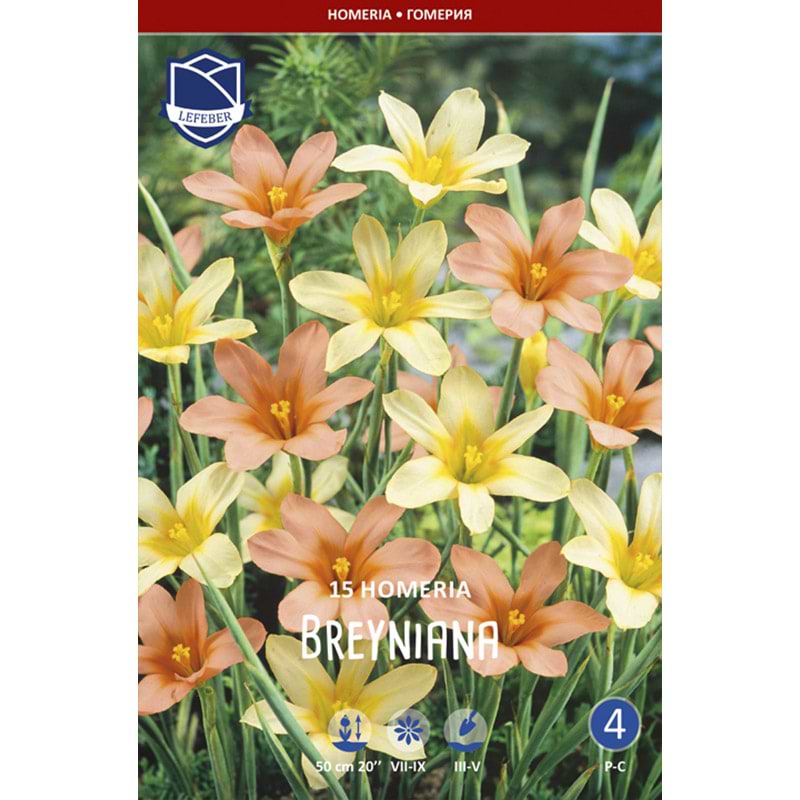 Homerialøg 'Breyniana'