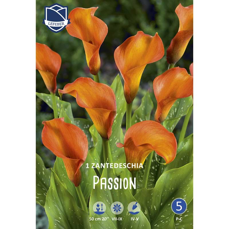 Kallaløg 'Passion' 
