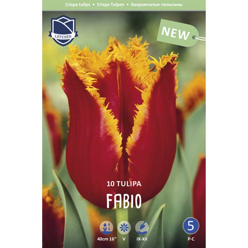 Frynset tulipan fabio