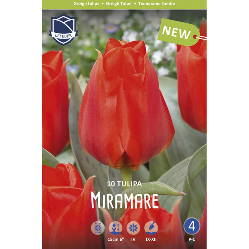 Miramare tulipan rød