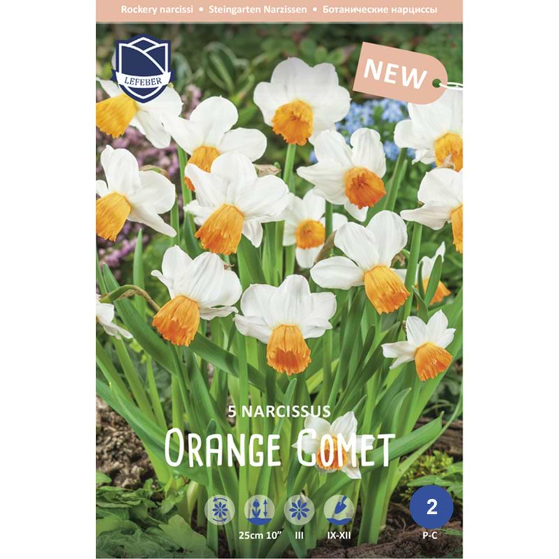 Påskelilje Orange comet