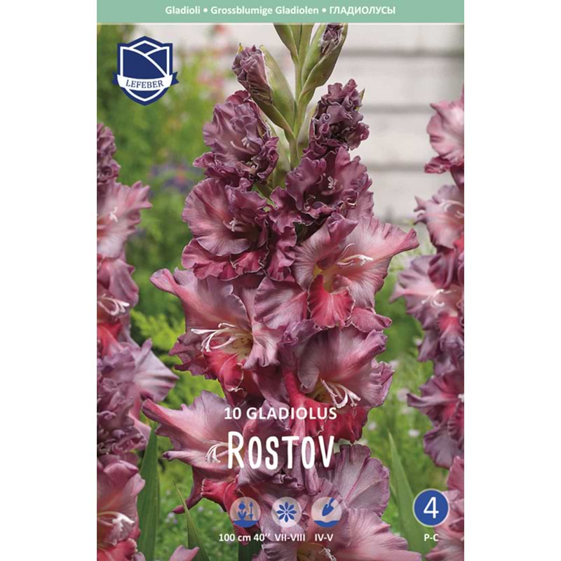 Gladiolusløg 'Rostov'