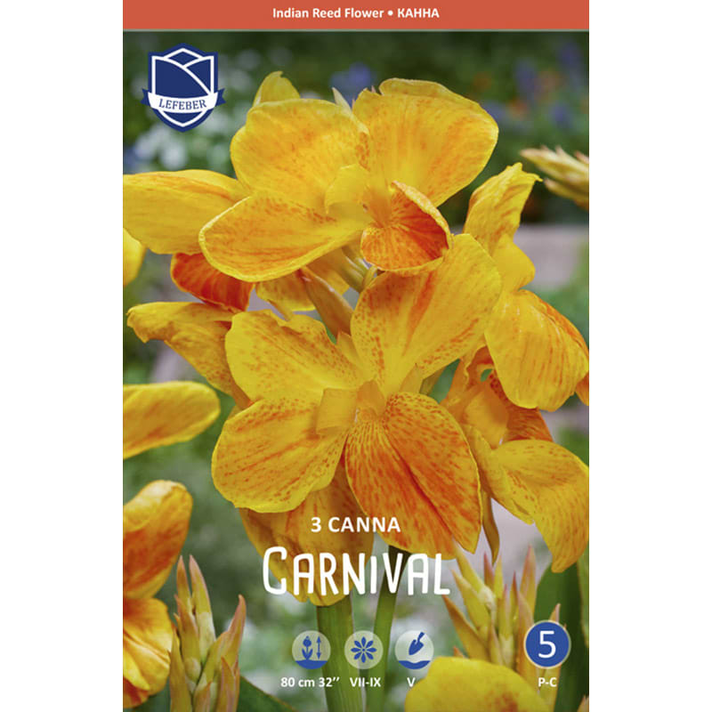 Kannaløg 'Carnival'