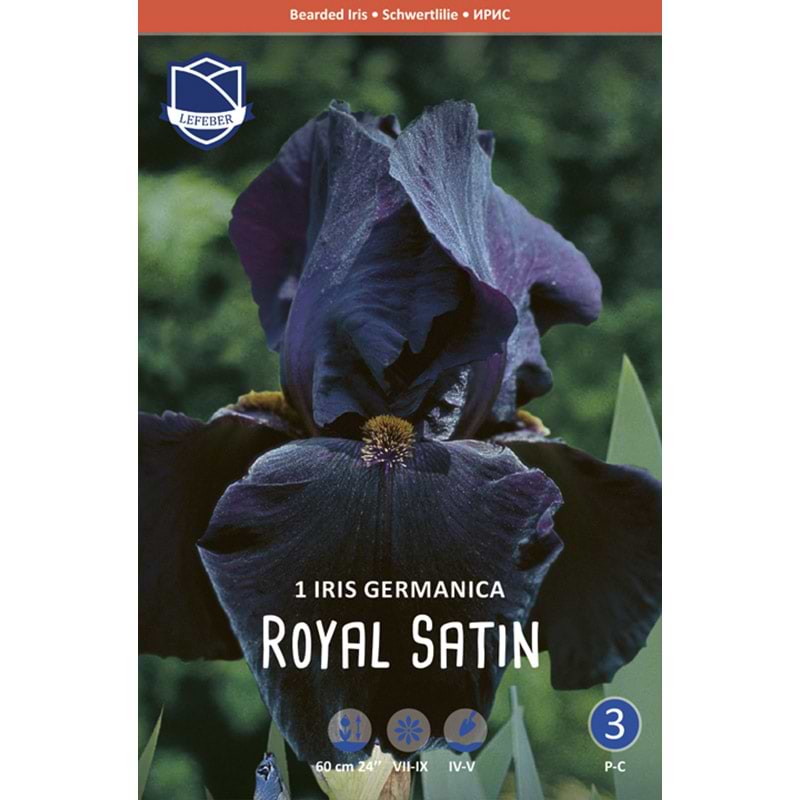 Have Iris Royal Satin 