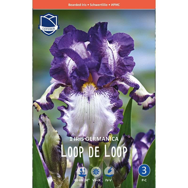 Have Iris Loop the loop