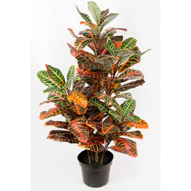 Kunstig croton 