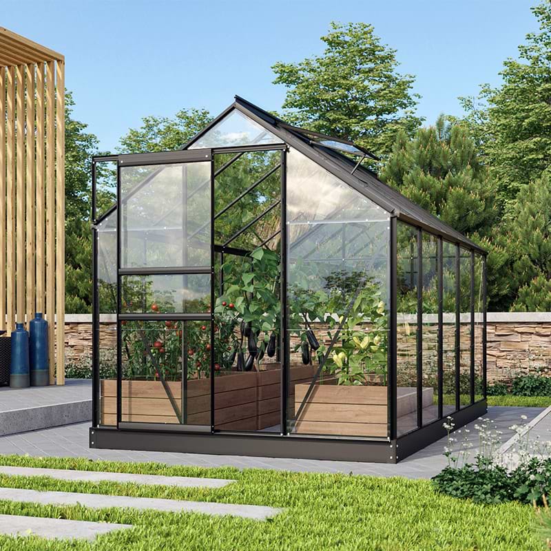 Drivhus venus sort 6,2m2