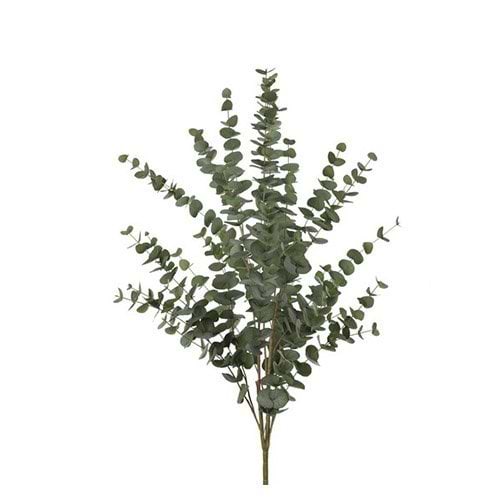 Kunstig stor eucalyptus